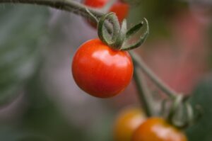 Jak przebiega proces legislacyjny ustawy i jakie są jego etapy
