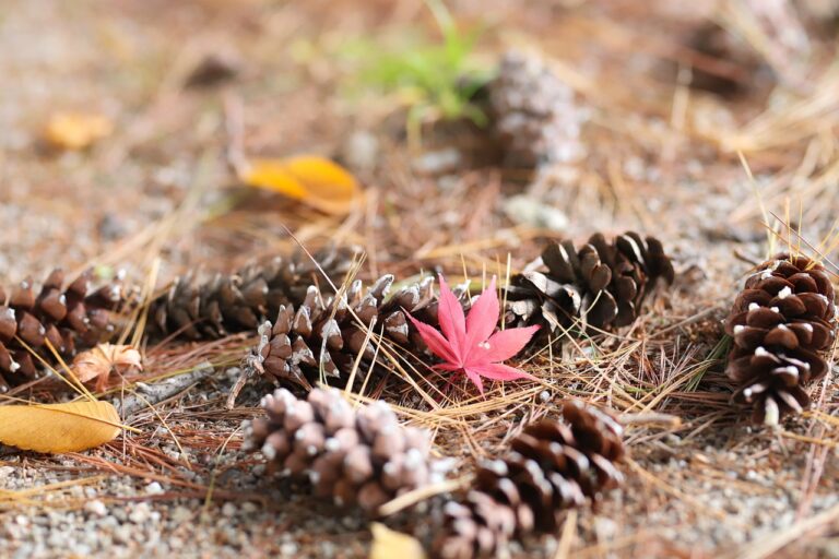Urlop bezpłatny w pracy jak go uzyskać i jakie są zasady
